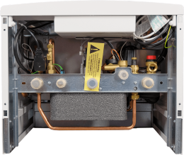 Настенный газовый двухконтурный котел отопления Italtherm TIME 30 F (301081279)
