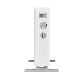 Электрический обогреватель Thermex Pronto 2000M White