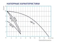 Дренажный насос Belamos DWP 250, погружной