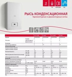 Настенный газовый конденсационный котел отопления Protherm Рысь К 25 MKO