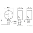 Термоманометр Watts F+R 828/6, радиальный