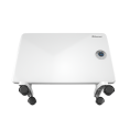 Электрический обогреватель Thermex Frame 1000E
